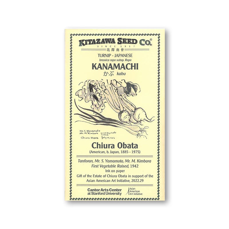 Kitazawa Seeds–Chiura Obata Kanamachi Turnip
