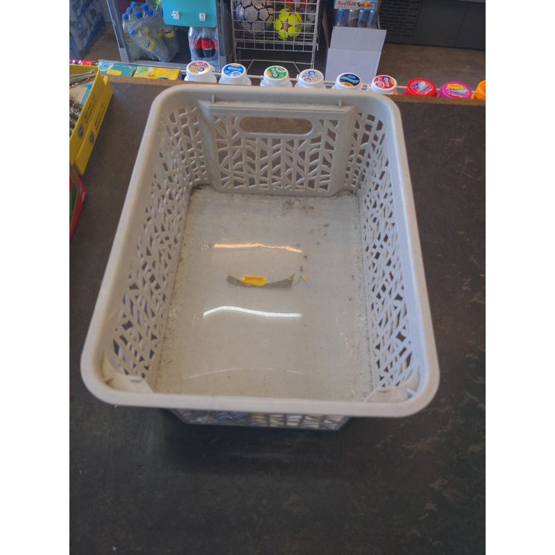 BranQ Basket