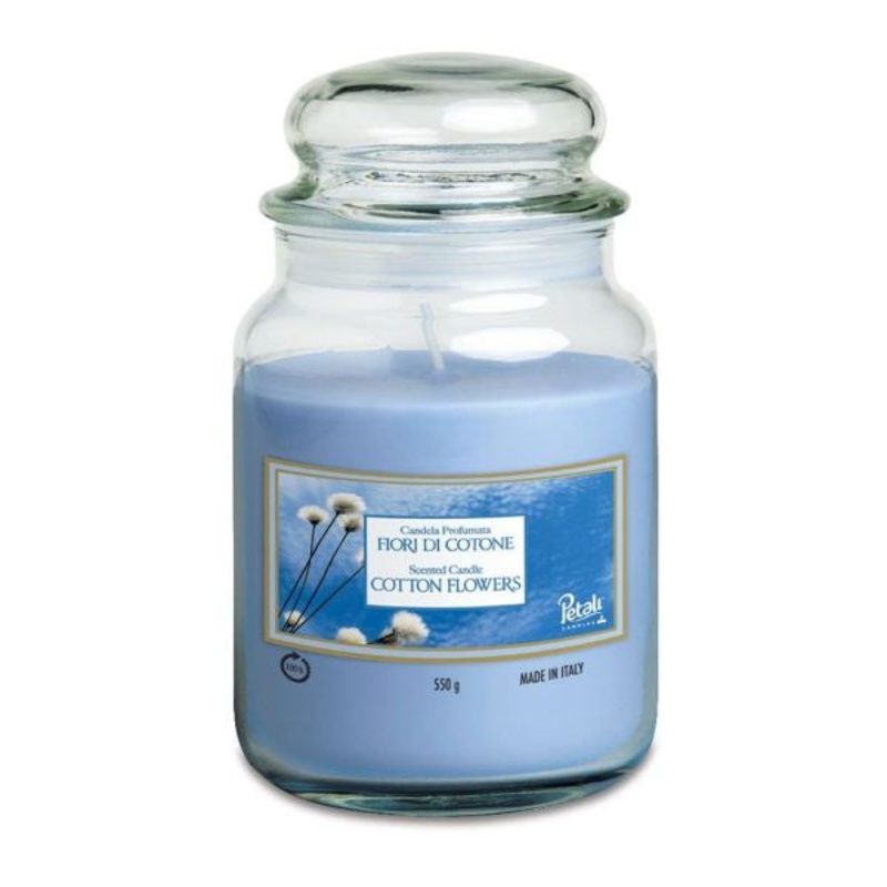 Add Charm to Your Space with Petali Cotton Flowers Large Jar