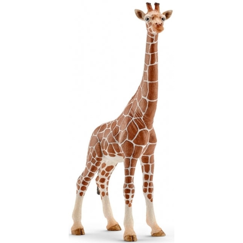Sshleich Giraffe Female