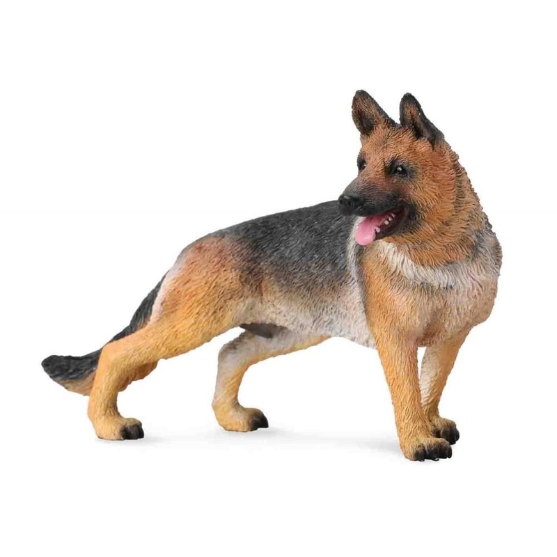 German Shepard