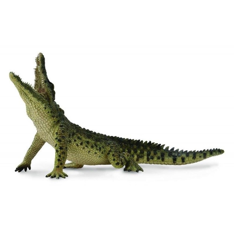Nile Crocodile – Leaping