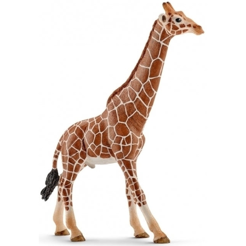 Schleich Giraffe Male