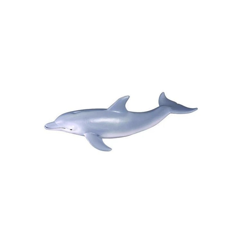 Bottle Nose Dolphin