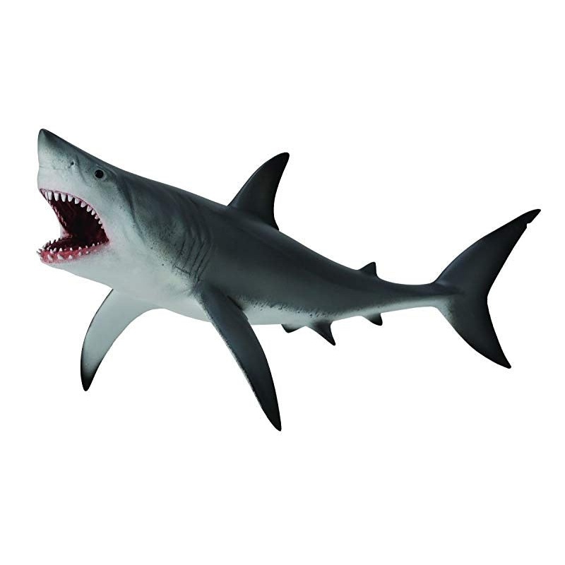 Great White Shark