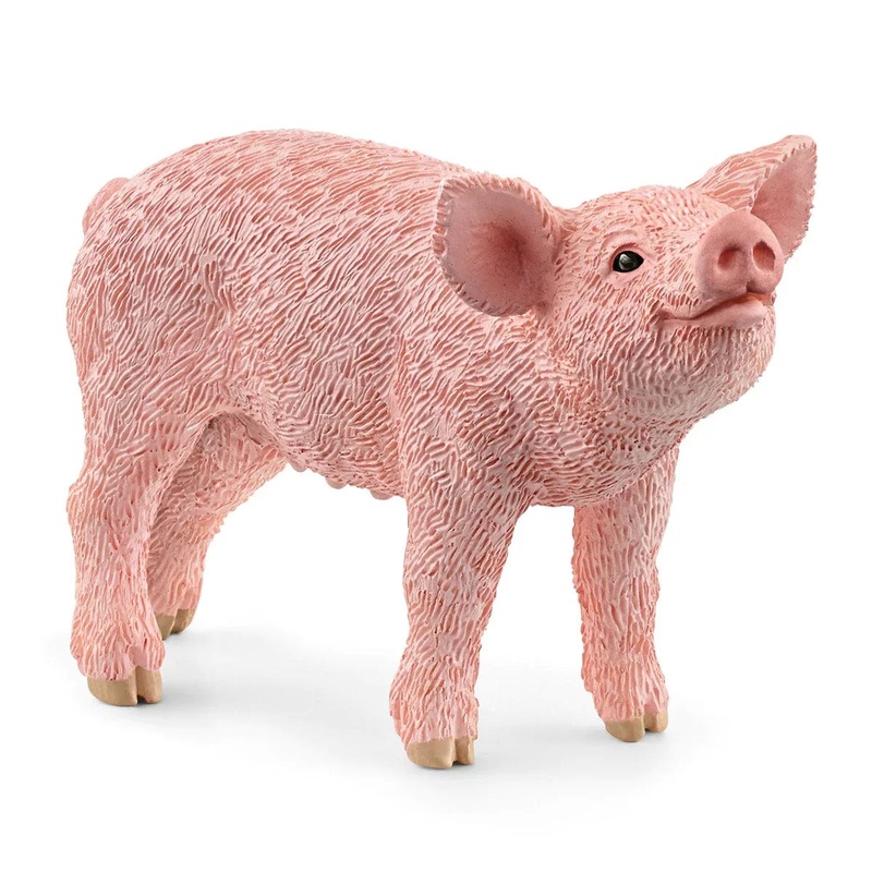 Scheich Piglet