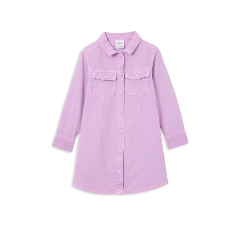 Lavender Denim Dress