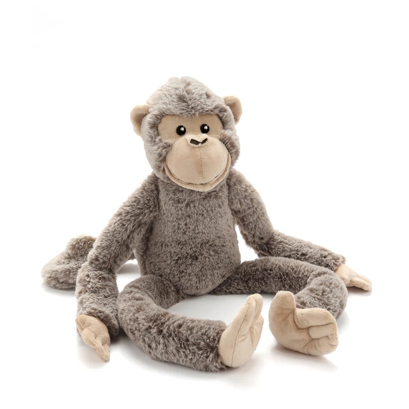 Mani the Monkey