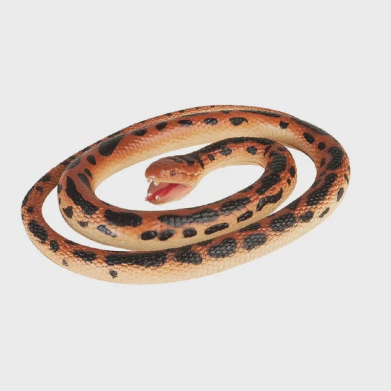 Rubber Snake Amethyst Python