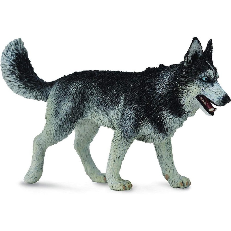 Collecta Siberian Husky