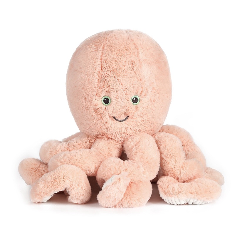 Little Cove Octopus