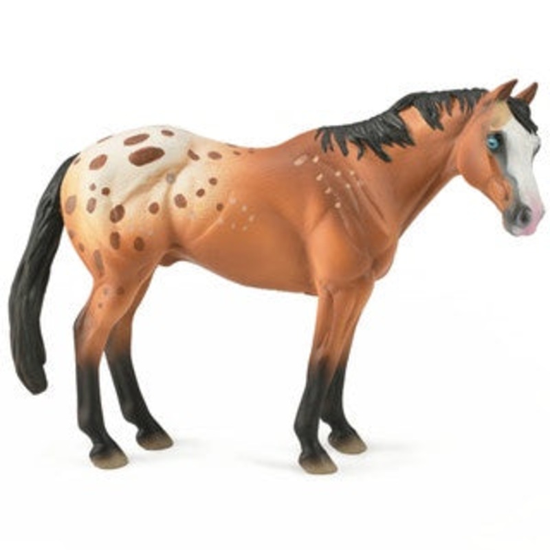Appaloosa Stallion – Light Brown