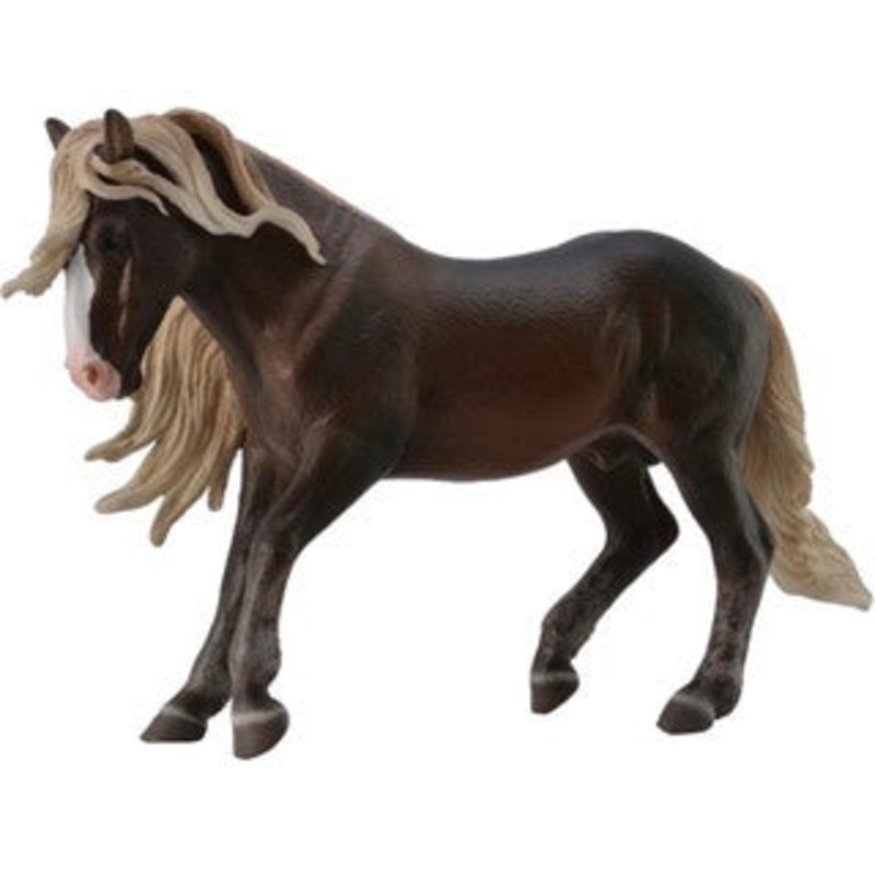 Black Forrest Horse Stallion