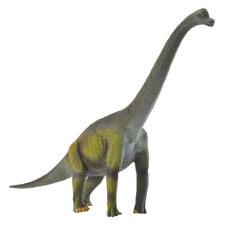 Brachiosaurus