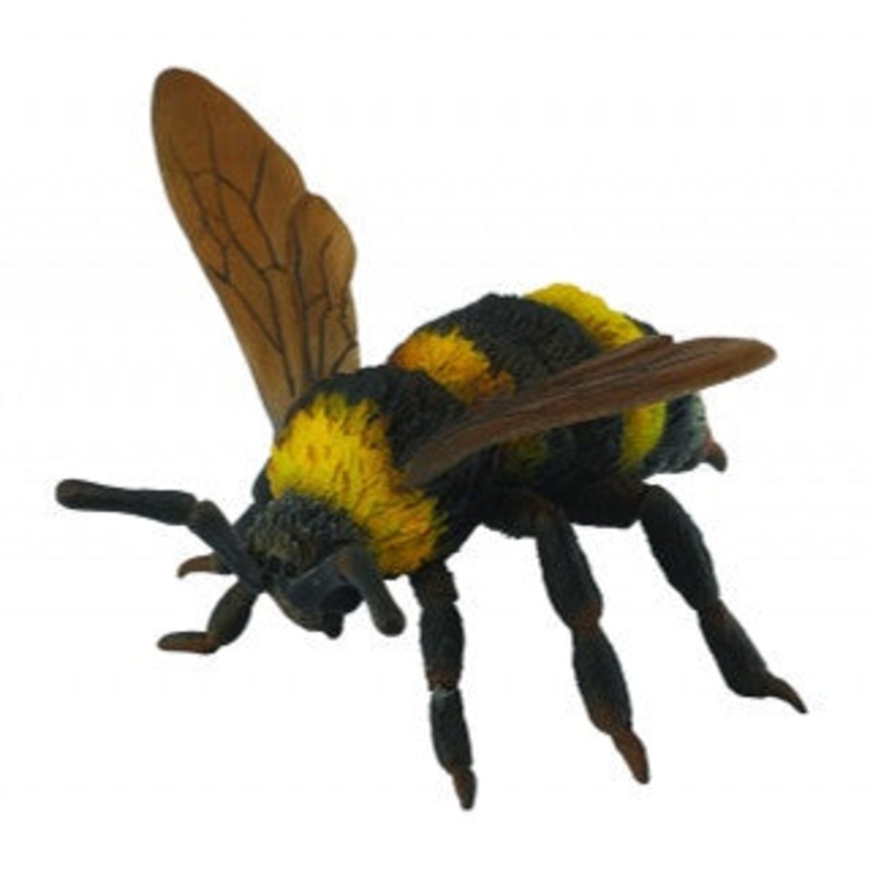 Bumble Bee