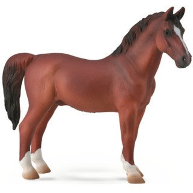 Hackney Stallion – Chestnut