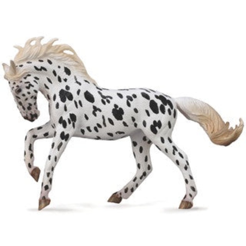 Knabstrupper Mare – Black Leopard