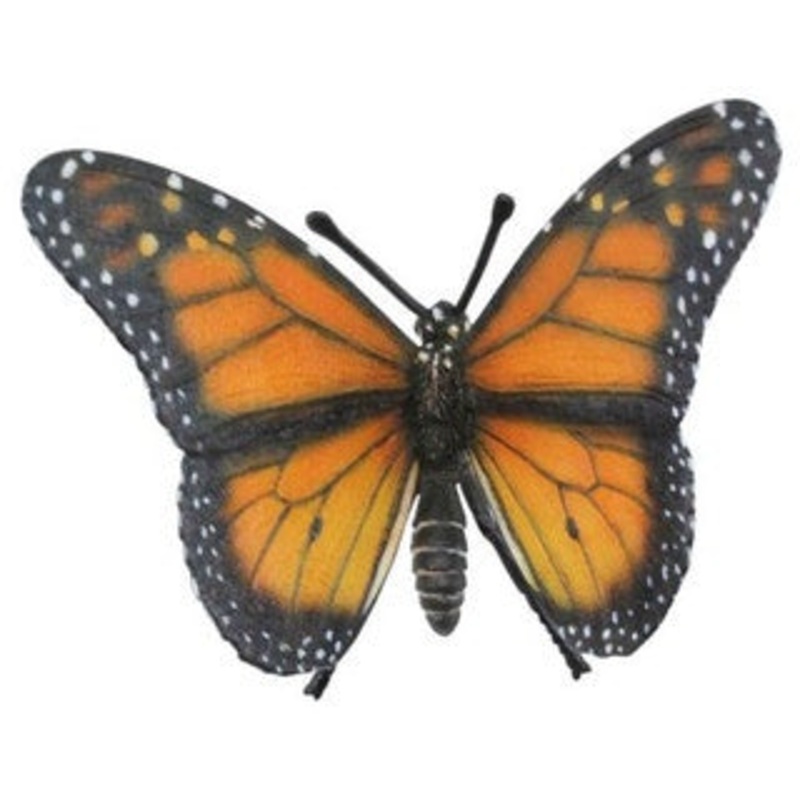 Monarch Butterfly