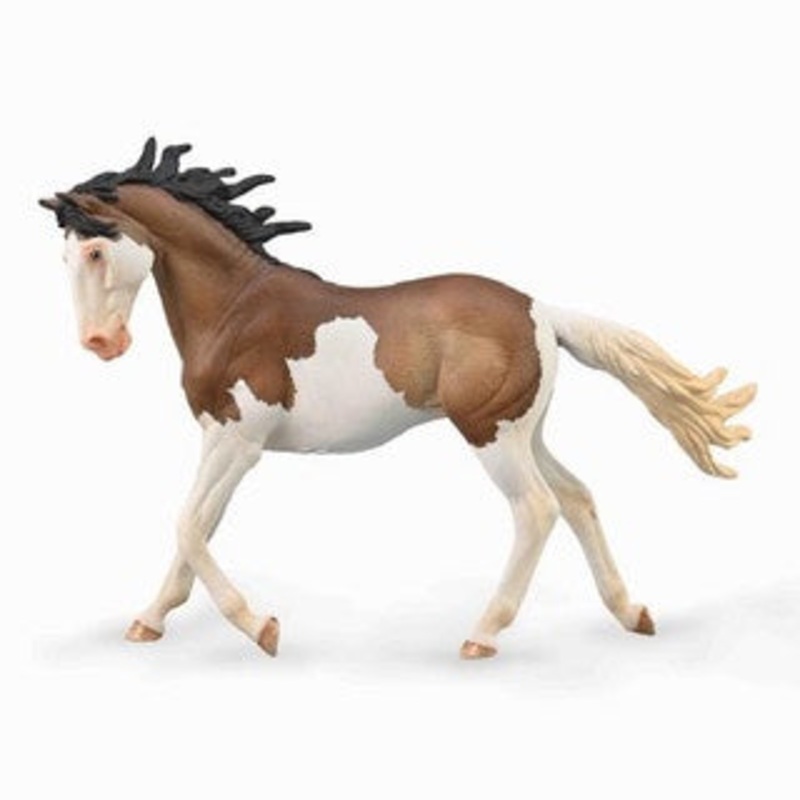 Mustang Mare – Bay Splash Overo