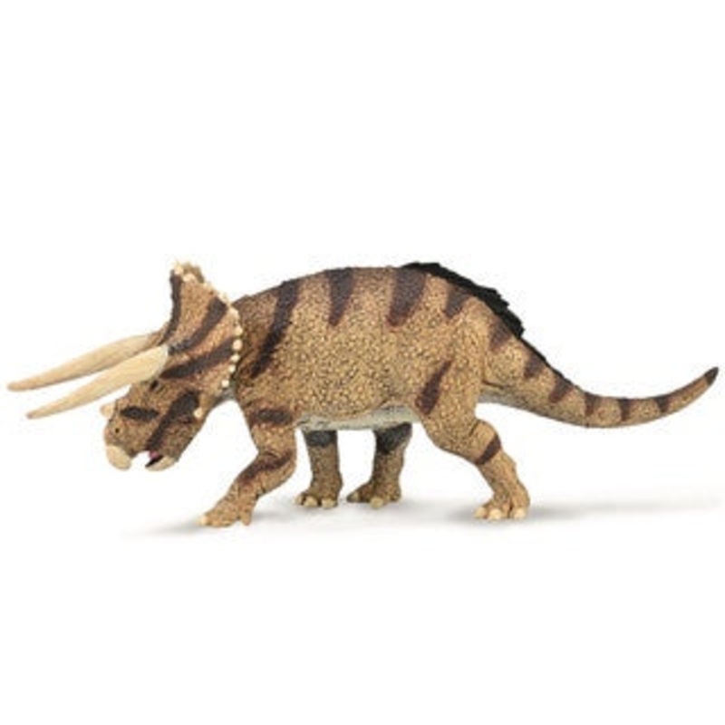 Triceratops Horridus