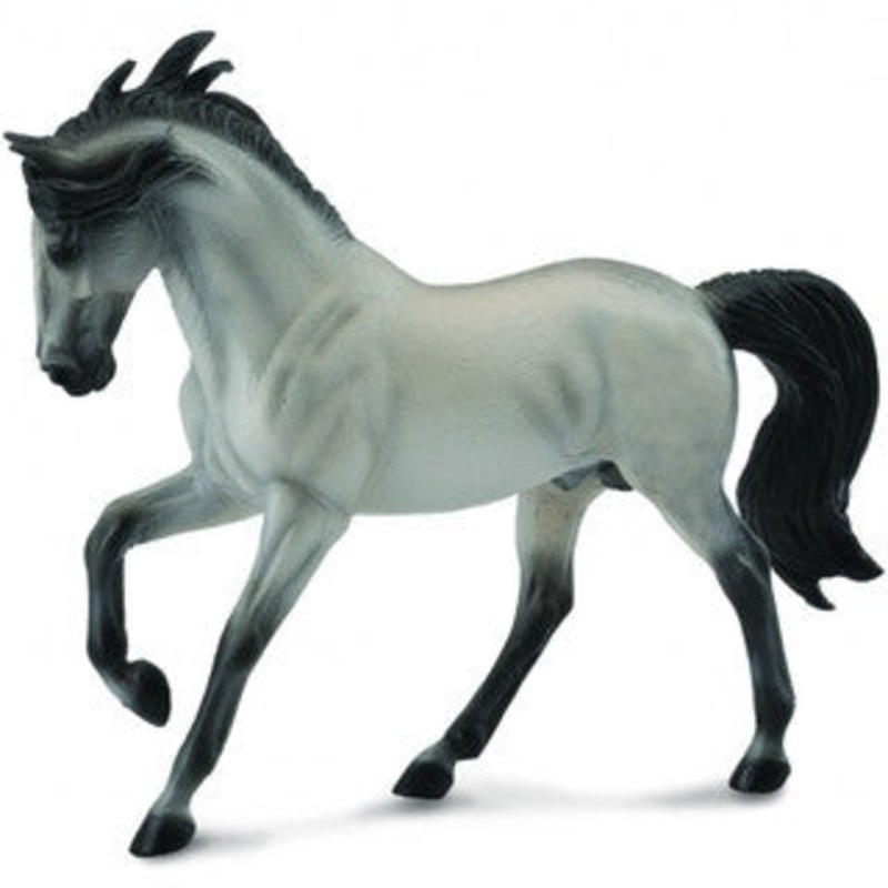 Andalusian Stallion Grey