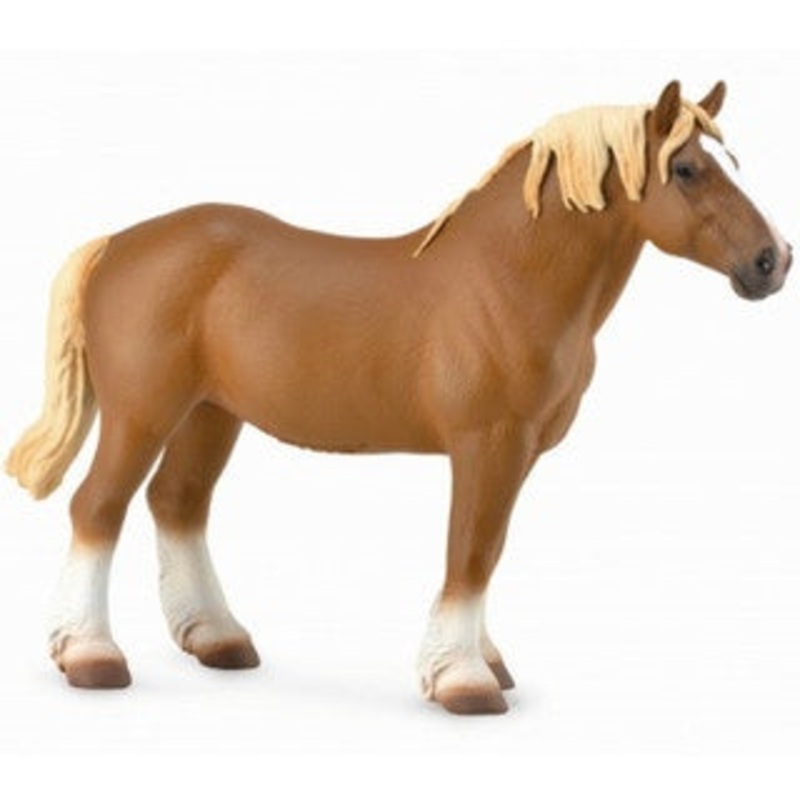 Belgian Mare Chestnut