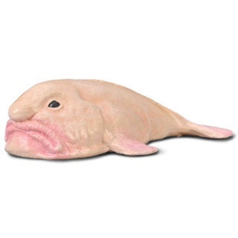 Blobfish