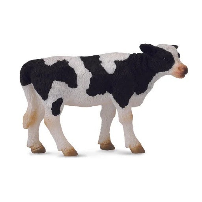 Friesian Calf – Standing