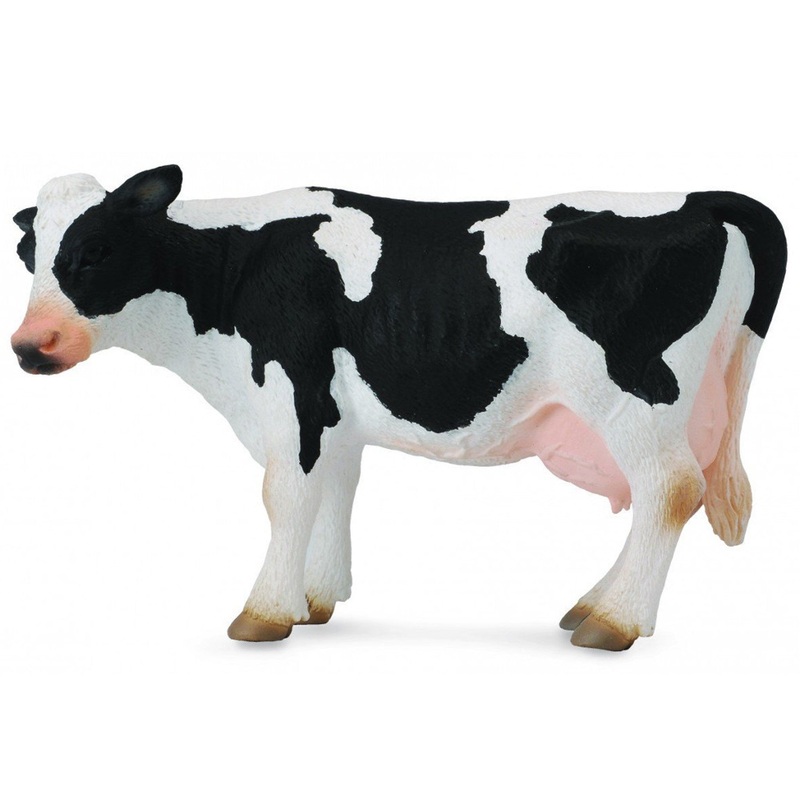 Friesian Cow