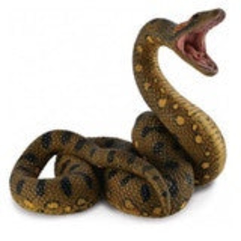 Green Annaconda