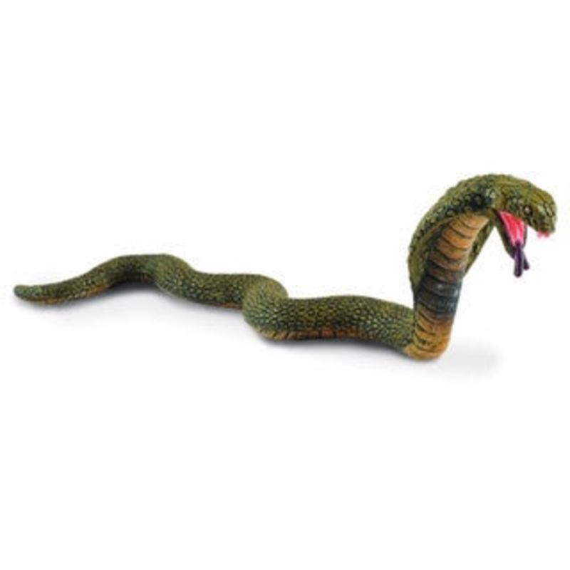 King Cobra