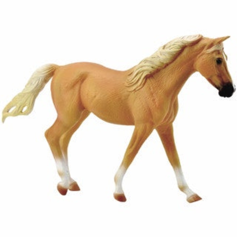 Missouri Fox Trotter Mare – Palomino