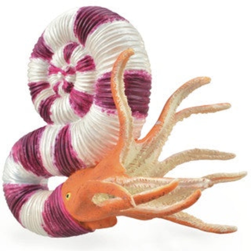Pravitoceras