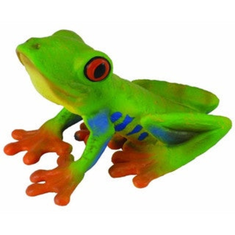 Red-Eyed Tree Frog
