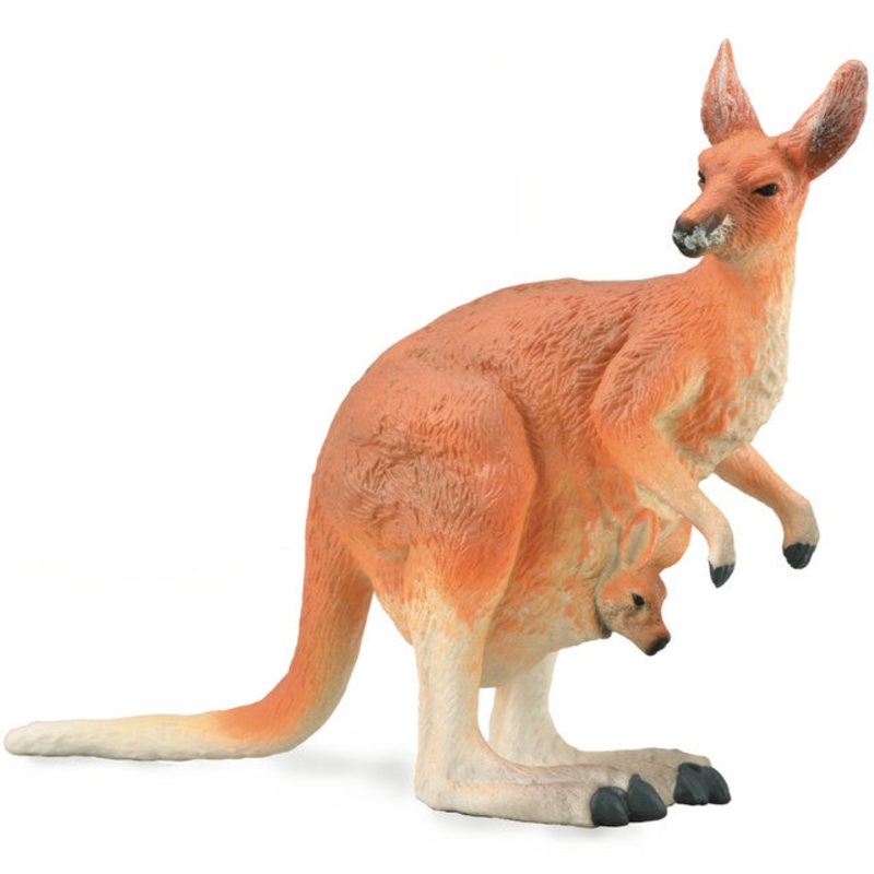 Red Kangaroo – Female with Joey