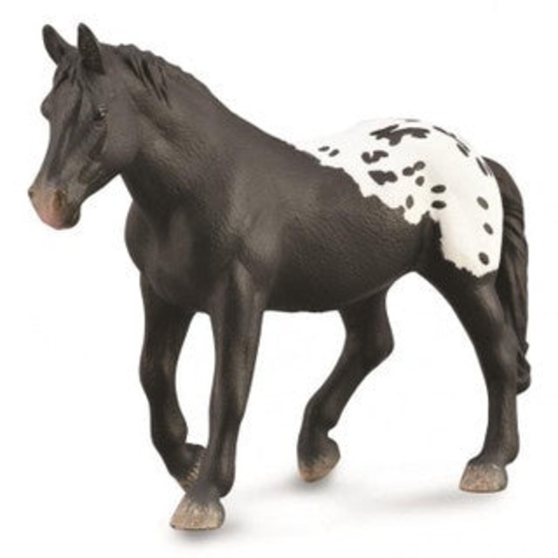 Sugarbush Draft Mare – Black Blanket W/Spots