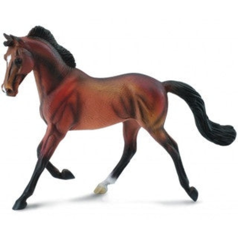 Thoroughbred Mare Bay