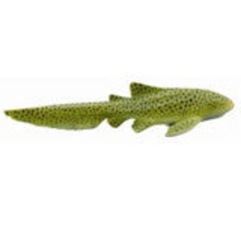 Zebra Shark
