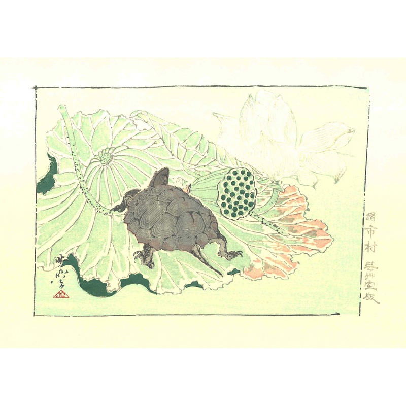Kawanabe Kyosai – Kame (Turtle) – Free Shipping
