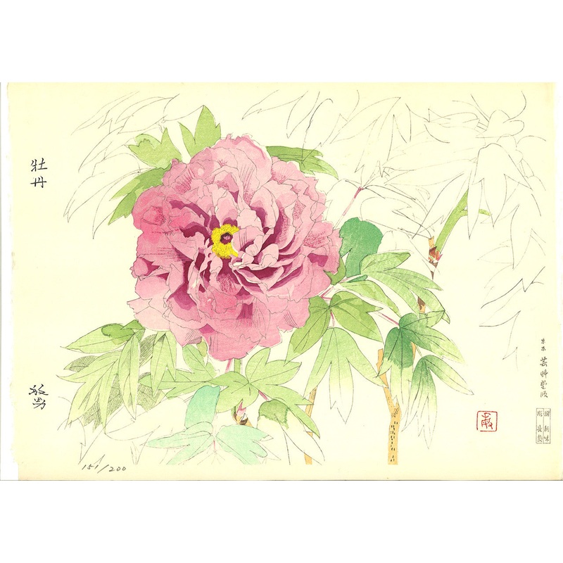 Matsuo Toshio – Peony – Japanese traditional woodblock print Limited Edition – Free Shipping
