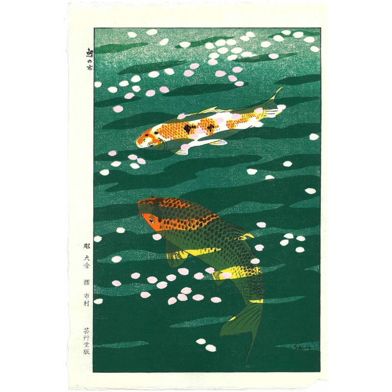 Kasamatsu Shiro – SK40 Koi (Carp) – Free Shipping