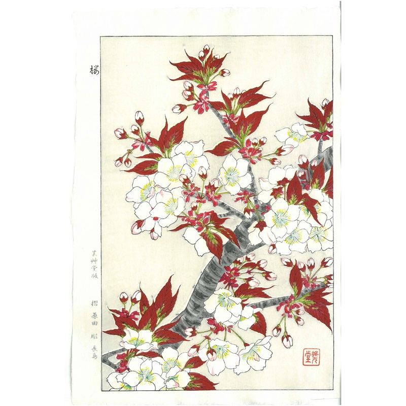 Kawarazaki Shodo – F016 Sakura (Cherry Blossoms) – Free Shipping