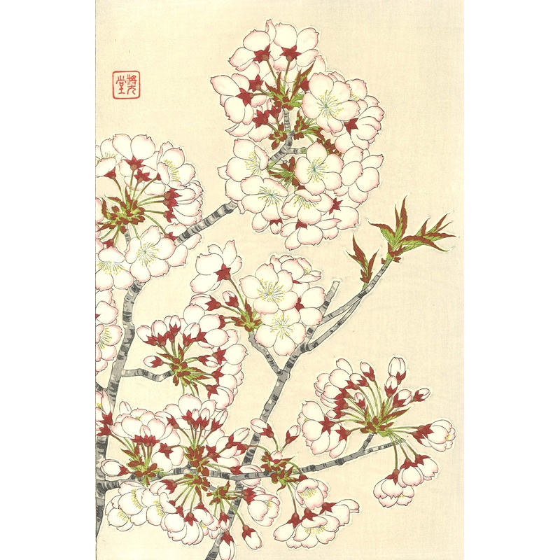 Kawarazaki Shodo – F019 Sakura (Cherry Blossoms)
