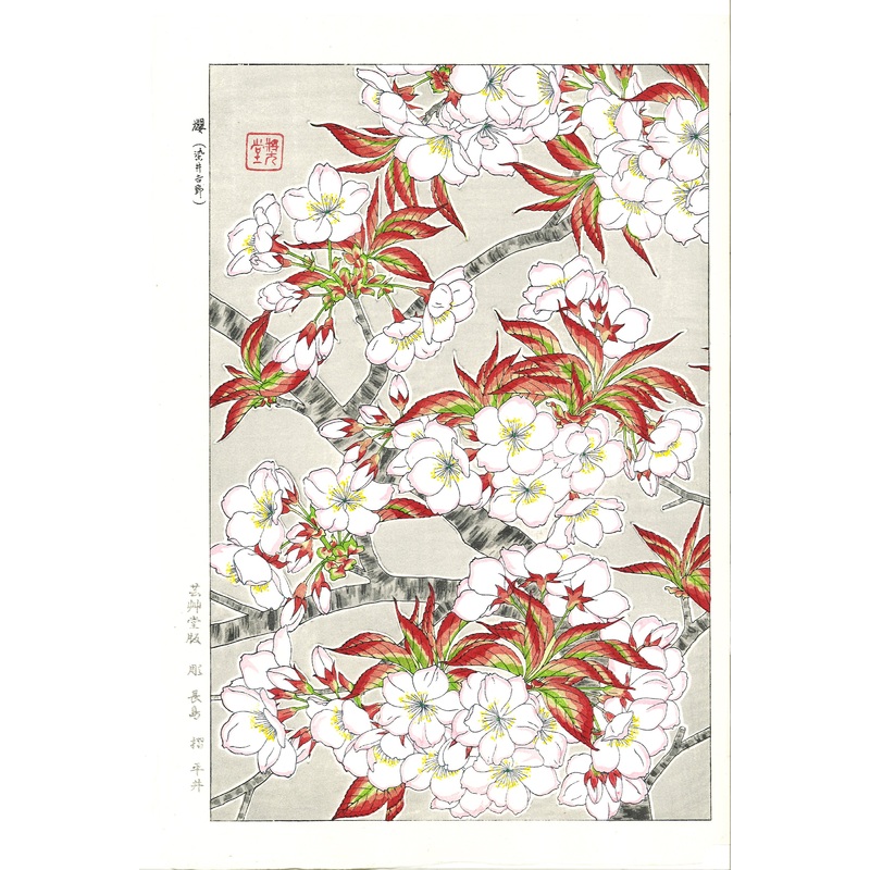 Kawarazaki Shodo – F020 Somei Yoshino (Cherry Blossoms) – Free Shipping