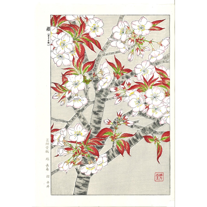 Kawarazaki Shodo – F021 Sakura (Cherry Blossoms) – Free Shipping