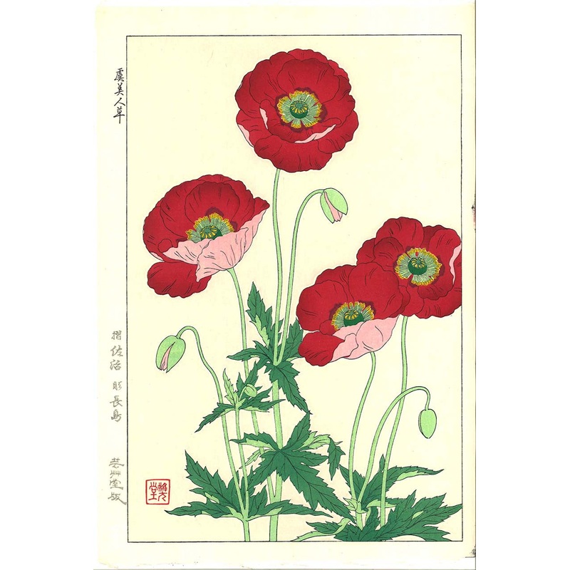 Kawarazaki Shodo – F123 Keshi (Poppy)  – Free Shipping