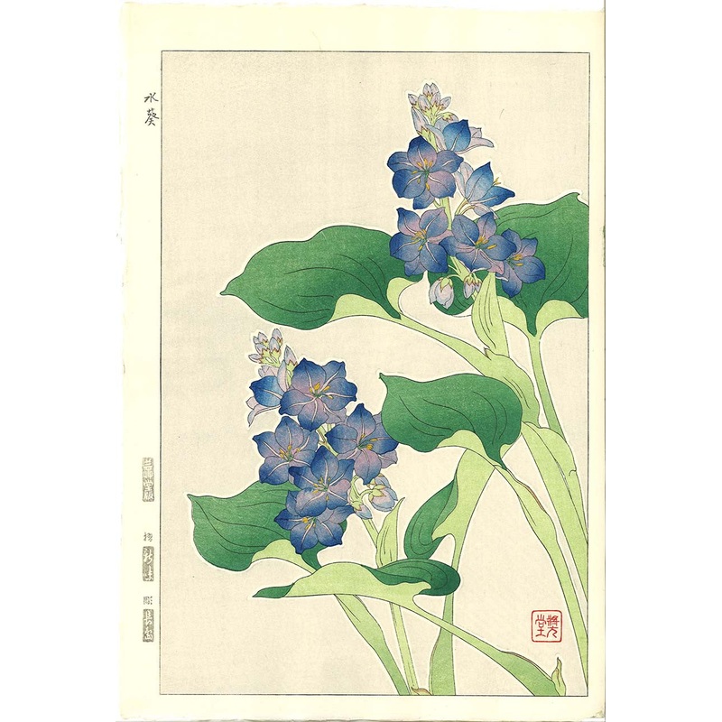 Kawarazaki Shodo – F125 Mizuaoi (Water hyacinth)  – Free Shipping