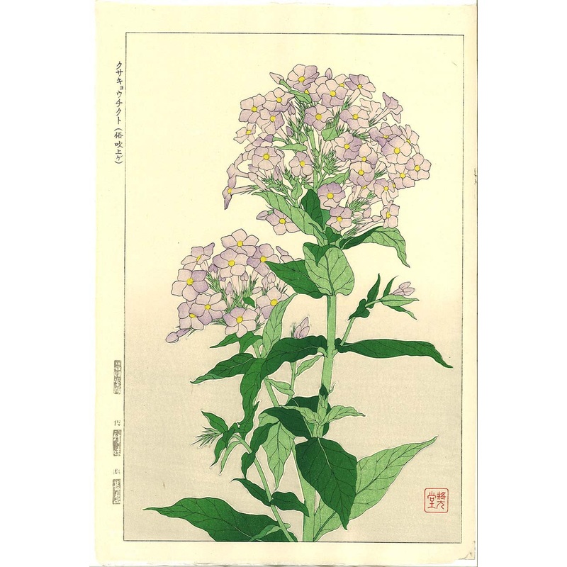 Kawarazaki Shodo – F131 Kyochikuto (Nerium) – Free Shipping