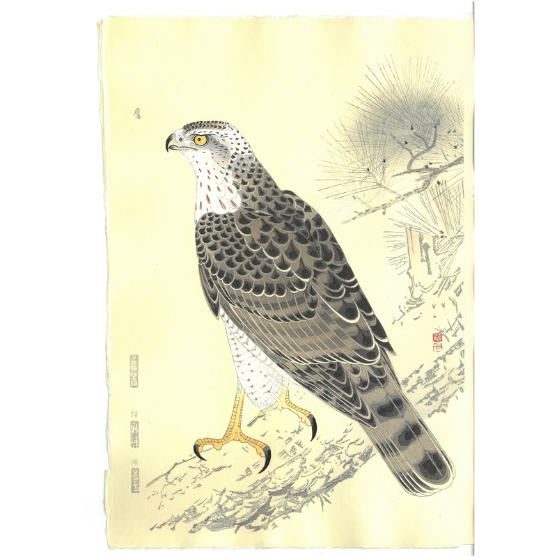 Fukuda Suiko – Taka (Hawk) – Free Shipping