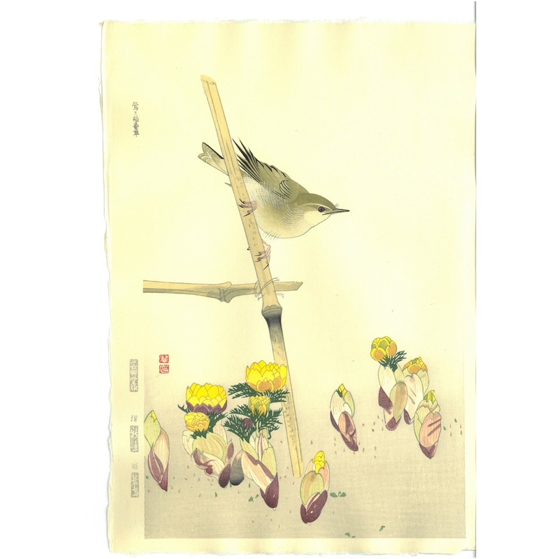Fukuda Suiko – Uguisu & Fukujyuso – Free Shipping